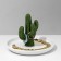 Supply Universal Ceramics "Cactus" 14 × 11.5, white-green color