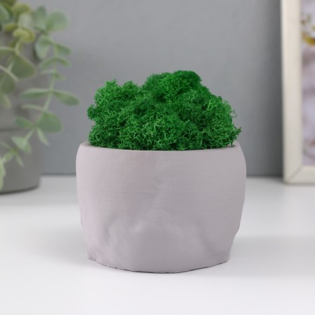 Kashpo concrete "skull" with moss lightly gray 13x9x6.5 cm (moss green stabilized)-2
