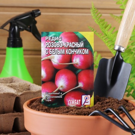 Seeds Radis are pink-red with a white tip, 3 g-2