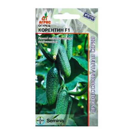Cucumber seeds "Korentin" F1 8pcs* Seminis