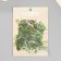 Stickers for creativity PLC PVC "Green Leaves" set 60 pcs 10x14 cm
