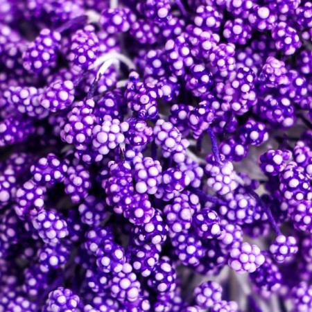 Stamens for flowers "droplets bubble purple" 4x7 mm set 700 pcs length 6.5 cm-2