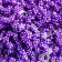 Stamens for flowers "droplets bubble purple" 4x7 mm set 700 pcs length 6.5 cm