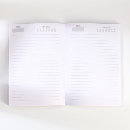 Set: A5 diary, 80 sheets, stickers and pen "From March 8!"-3