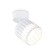 Switch of the turning switch with a replaceable lamp Ambrella Light, Techno Family, TN71157, GX53, white color