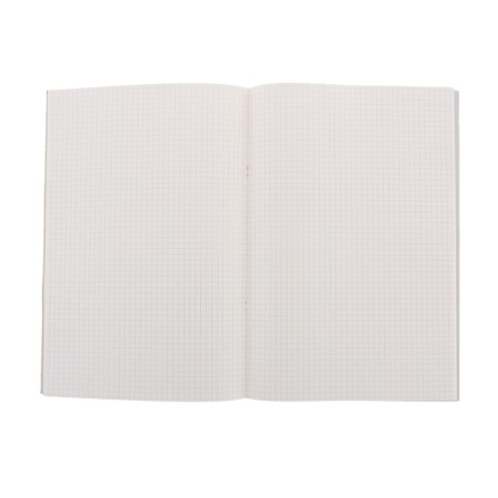 A4 accounting book, 48 sheets, cage, cardboard cover, offset-1
