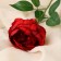 Artificial flowers "Rose aesthetics" 7x65 cm, burgundy