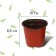 Pot for seedlings, d = 10 cm, h = 8.5 cm, terracotta, Greengo