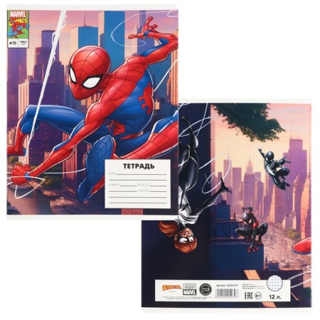 Notebook in a cage 12 sheets, 5 types of mix, cover coated cardboard, spider-man-4