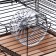 Mini cell for rodents "Pijon" No. 2, equipped, 27 x 15 x 16 cm, beige