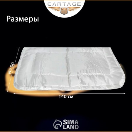 Authorized for the engine Cartage, 140 x 90 cm, especially dense-2