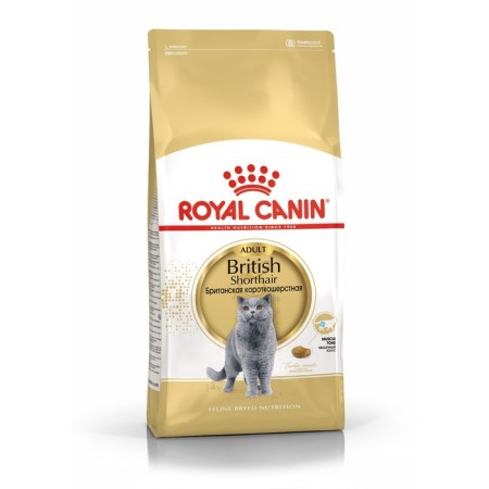 Dry food RC British Shorthair for British cats, 2 kg