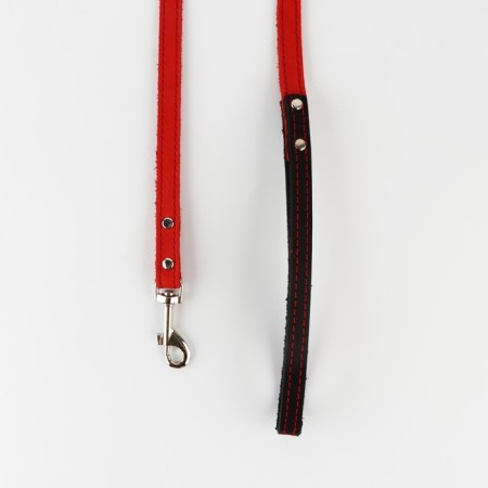 Set: collar (36-56x2.5 cm) and leash (130x1.5 cm), black color and raspberry color-4