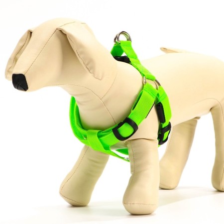 Shleka luminous size XL, sling 2.5 cm, fire 60-70 cm, 3 glow modes Green-1