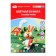 Color A4, 16 sheets, 8 colors, "Flower", 65 g/m2, offset, one -sided, (1021736)