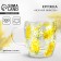 Glass mug with double walls "Tender Mimosa", 300 ml