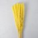 Sukhotzet "reed" set 15 pcs, yellow color