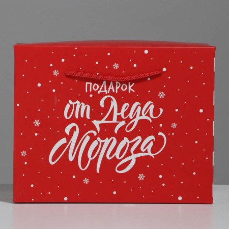 Package “Gift”, 23 x 18 x 11 cm, New Year-3