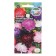 Flower seeds Astra "Kakada", Euro, 0.2