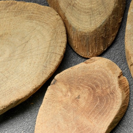 Saw the tree "oak premium", oval, d = 5-9 cm, h = 10 mm-2