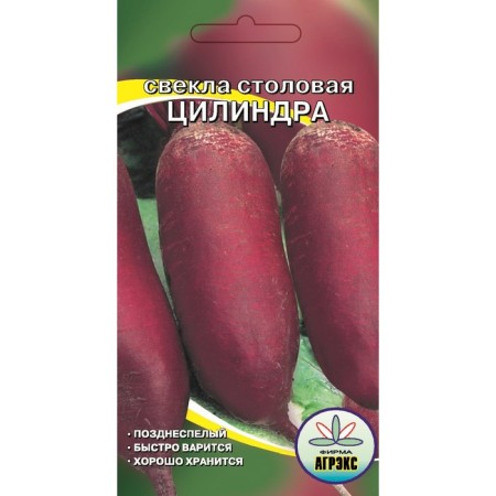 Cylinder beets seeds, 2 g