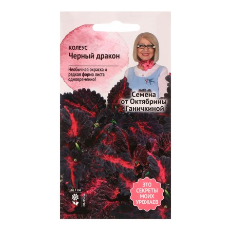 Flower seeds Koleus "Black Dragon", 10 pcs