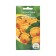 Patisson seeds "UFO Orange", 10 pcs