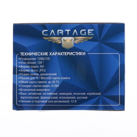 Cartage DVR, 2 cameras, WDR HD 1080P, TFT 4.5, review 120 °-10