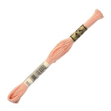 The threads of the DMC 117 (353), 12 pcs. packaged