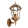 Garden-park lamp Feron PL621, IP44, E27, 60 W, 225x205x540 mm, color black gold