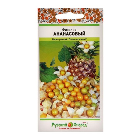 Physalis Pineapple (20pcs)