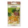 Physalis Pineapple (20pcs)