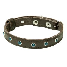 Leather collar with rhinestones 