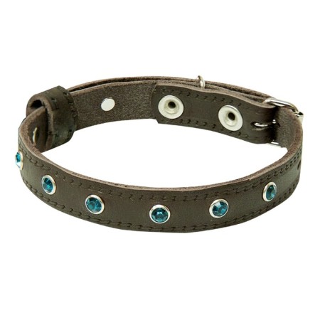 Leather collar with rhinestones "Zononic", Osh 26-35 x 1.5 cm, mix of flowers