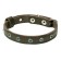 Leather collar with rhinestones "Zononic", Osh 26-35 x 1.5 cm, mix of flowers