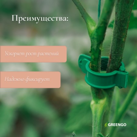 Garden clip, d = 20 mm, set 100 pcs., Green, Greengo-1