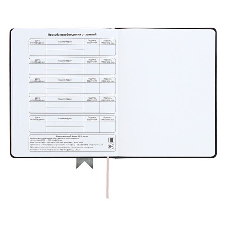 Universal diary for grades 1-11 Lenta, solid cover of artificial leather, applique, silkography, liesse, 48 sheets, black-14