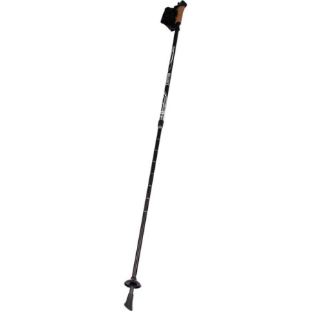 Scandinavian walking Bradex "Nordic Style II", 2 sections, black-2