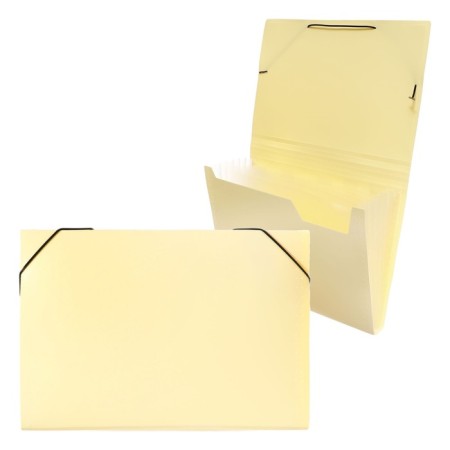 Folder Carder Calligrata watercolor 6 department. A4 plastic 0.7mm vanilla, black resident