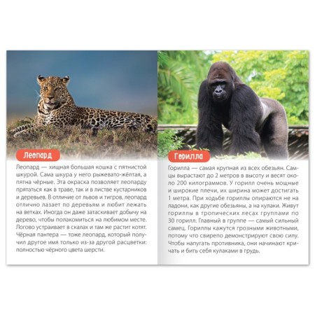 A set of training books “We learn together. Animals of our planet ”, 4 pcs. 20 p.-1