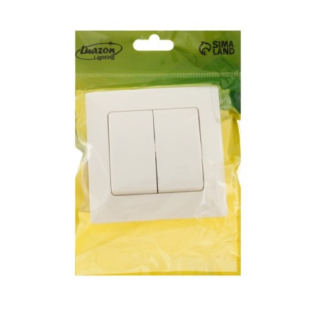 Luazon Lighting "Antei" switch, 10 A, 2 keys, hidden, white-3