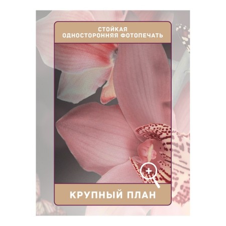 Photostes "Orchids on the water surface", Saten, size 145x265 cm, 2 pcs-2