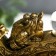 NECKE Bronze "Two toads in the wand of Jui with a ball" 14x6x5 cm 1201418