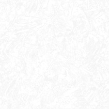 Обои Бумажные "Гомельобои" Декор 11, 0,53х10,05м