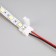 Ecola Pro 50 m, IP20, SMD5050, 60 LED/m, 14.4 W/m, 12 V, 6000K