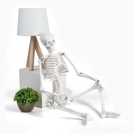 Model "Human Skeleton" 85cm-8
