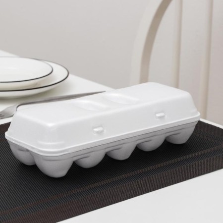 A disposable container for eggs, 10 seats, 24.6 × 22.9 × 3.95 cm, white color-1
