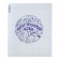 Subject notebook, 48 sheets, cage, foreign language Erichkrause "Chaos", plastic cover silk-screen cover, OFSET BELICE 100%, info block