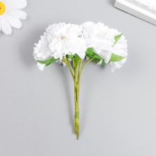 Flowers for decorating 