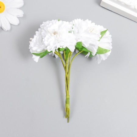 Flowers for decorating "Astra White" 1 bouquet = 6 colors 10 cm